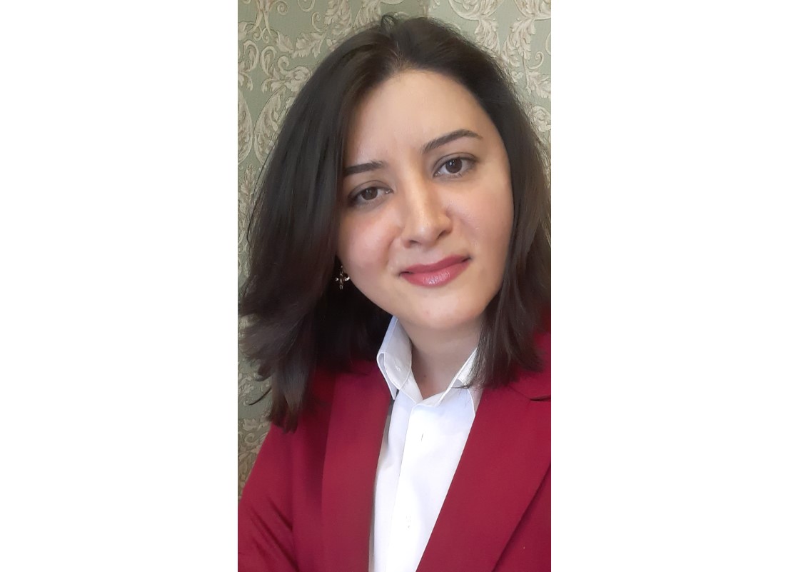 Azərbaycan dilinin dialekt bölünməsi - Araşdırma